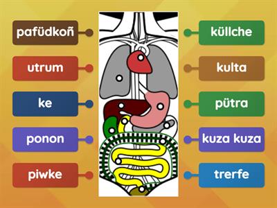 ponwi che kalül