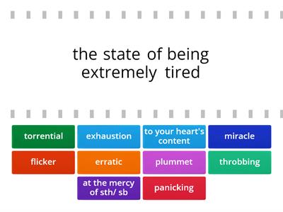 P6 Revision : Vocabulary 