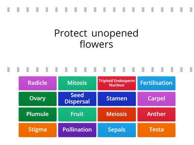 Plant Reproduction