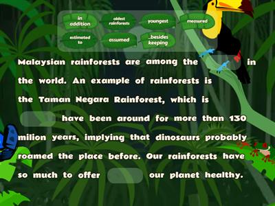 Malaysian rainforests