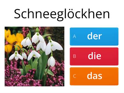 Tavaszi szavak német 1. osztály