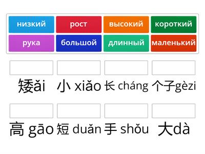 Царство Китайского языка 1А урок 6