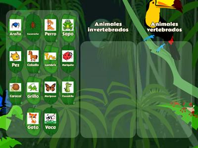 Animales vertebrados e invertebrados