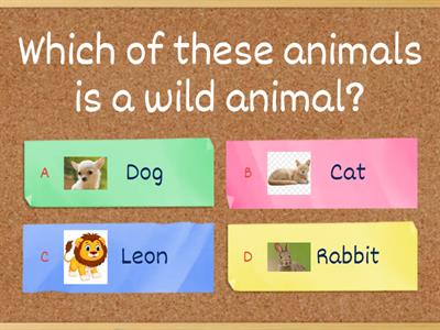 Assessment learning wild animals