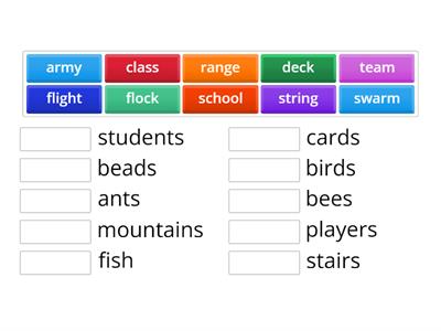 Collective Nouns Matching Game