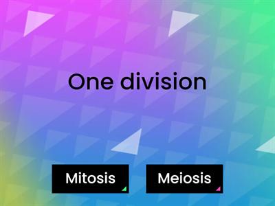 Mitosis vs Meiosis