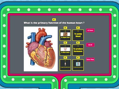 Pulse Points Quiz 