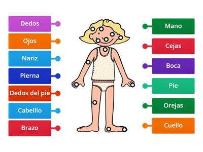 Partes del cuerpo