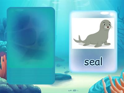 we can 3 1term sea animals flashcards