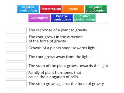 Plant hormones and growth