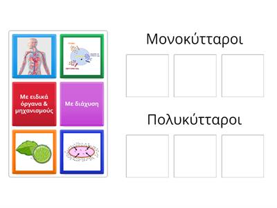 7. Μεταφορά & αποβολή ουσιών: μονοκύταροι & πολυκύτταροι οργανισμοί