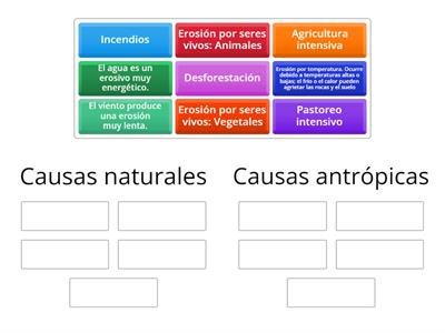 Causas de Erosión del suelo