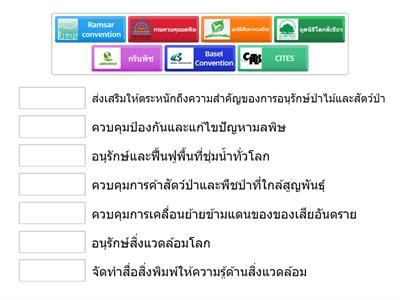 ขบวนการพิทักษ์โลก