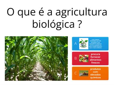 Agricultura biológica