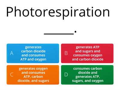  Photosynthesis in C4 and CAM Plants 