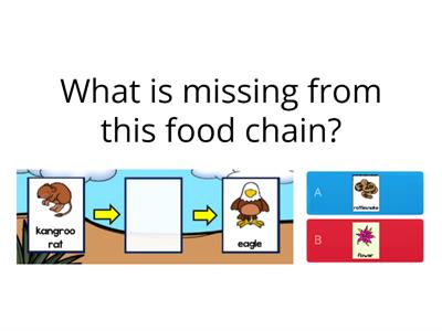 Complete the Food Chain! 