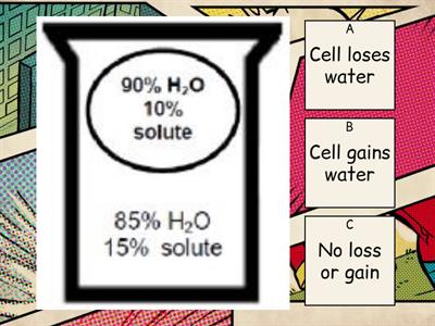 Osmosis Practice- Cell Vs Beaker