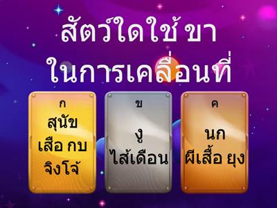 วิทย์ ป.1 พืชและสัตว์น่ารู้ ตอนที่11