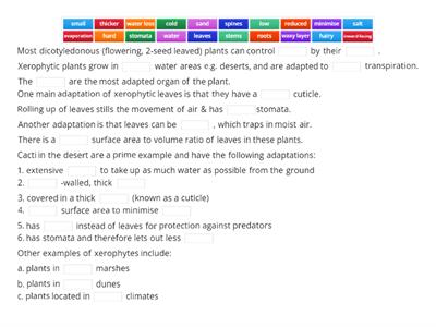 Adaptations of Plants - Xerophytes