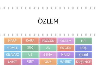 İlkokul Türkçe Eş Anlamlı Kelimer Etkinliği