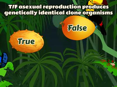  FFynone house: AQA biology (triple): sexual and asexual reproduction speed quiz