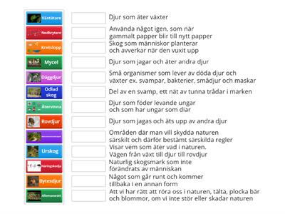 Biologi år 4