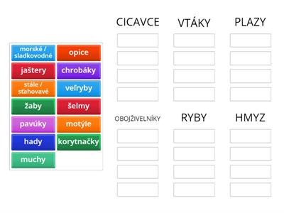 B2 L8 Skupiny živočíchov