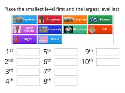 Ecological Levels