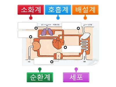 기관계역할1