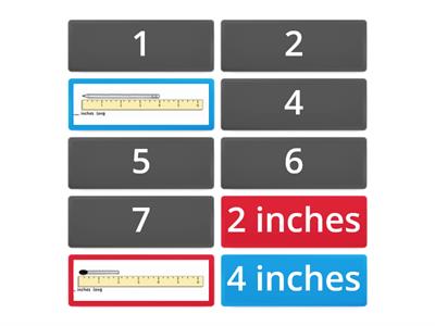 Go Math Chapter 8: Measuring to the inch