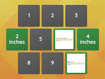 Go Math Chapter 8: Measuring to the inch