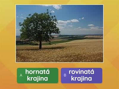 VLA3 Miestna krajina 