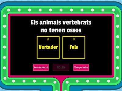 Coneixement del Medi 3r. Animal invertebrats 