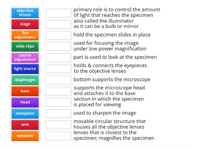 Functions of the Parts of a Microscope