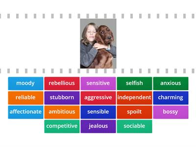 Personality Adjectives (Unit 1B)