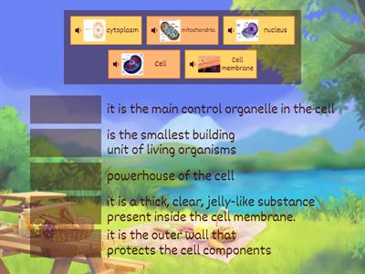 the Cell