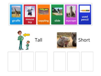 Label Adjectives - Tall/Short