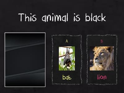 Seed level - Animals and adjectives