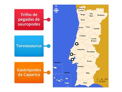Fósseis de Portugal 7ºB