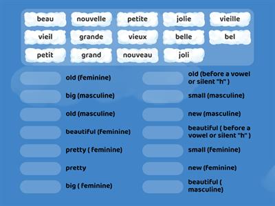  S2 French Module 3 adjectives
