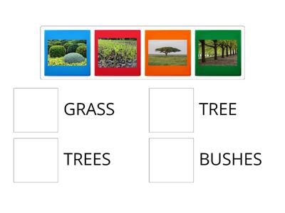 BUSHES, TREE OR GRASS