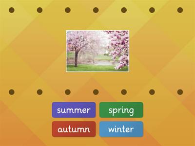 Seasons in the UK - match the season to the photo
