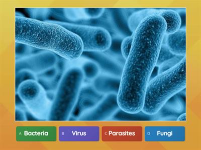 5th Grade-W24 Infectious diseases 