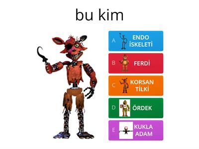 30 Soru bir arada fnaf 1+bonus