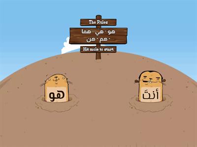 لغة عربية -  ضمائر الغائب