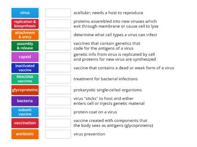 Copy of virus and bacteria wordwall