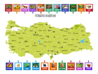 Tarım Ürünleri