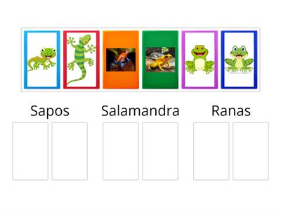 Tema:Los Anfibios Área de desarrollo Relación con el Entorno Instrucciones:Agrupan los anfibios segun su clasificacion.
