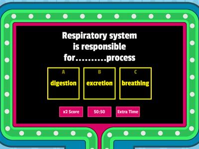 Respiratory system 