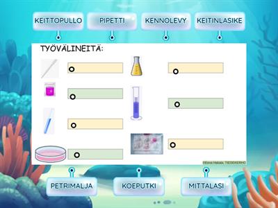 TYÖVÄLINEITÄ©Eeva Hakala